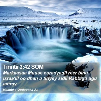 Tirintii 3:42 SOM Bible Verse Image
