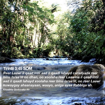 Tirintii 3:45 SOM Bible Verse Image