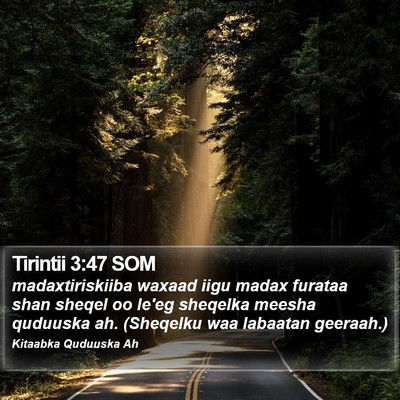 Tirintii 3:47 SOM Bible Verse Image