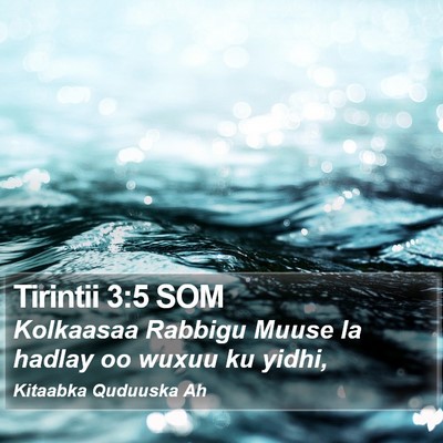 Tirintii 3:5 SOM Bible Verse Image