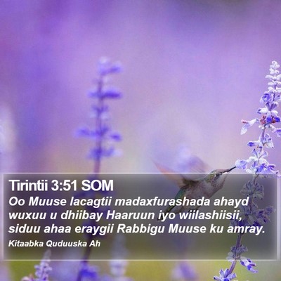 Tirintii 3:51 SOM Bible Verse Image