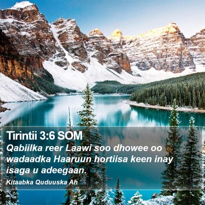 Tirintii 3:6 SOM Bible Verse Image