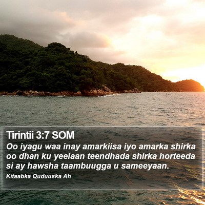 Tirintii 3:7 SOM Bible Verse Image