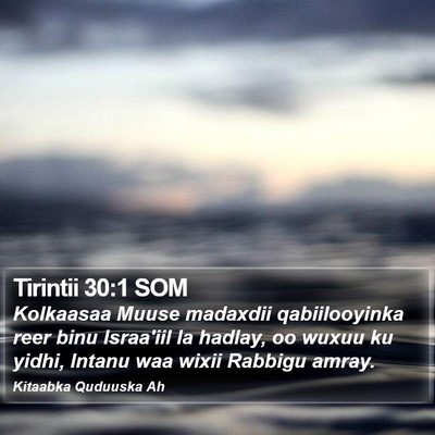Tirintii 30:1 SOM Bible Verse Image