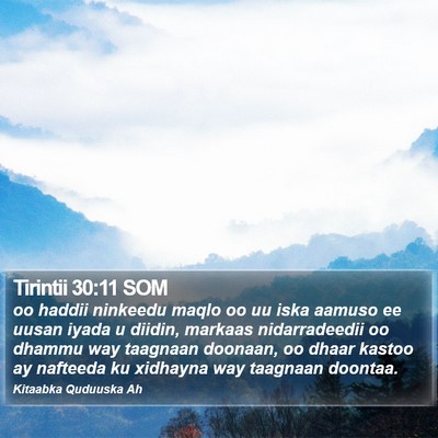 Tirintii 30:11 SOM Bible Verse Image