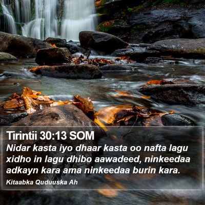 Tirintii 30:13 SOM Bible Verse Image