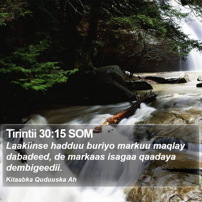 Tirintii 30:15 SOM Bible Verse Image