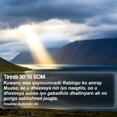 Tirintii 30:16 SOM Bible Verse Image