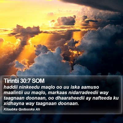 Tirintii 30:7 SOM Bible Verse Image