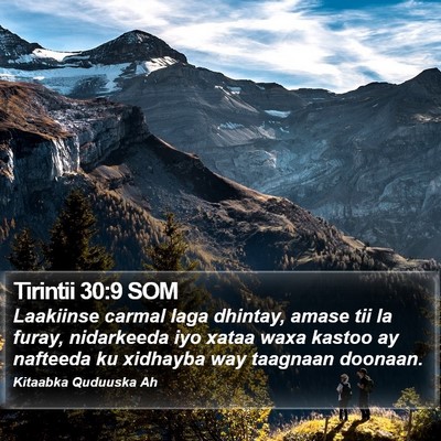 Tirintii 30:9 SOM Bible Verse Image