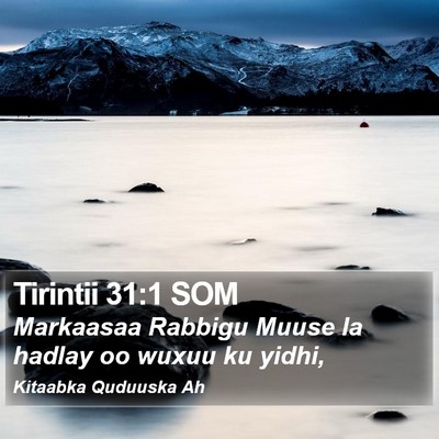 Tirintii 31:1 SOM Bible Verse Image