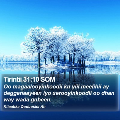 Tirintii 31:10 SOM Bible Verse Image
