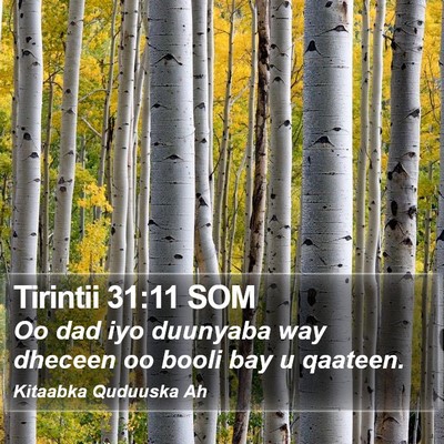 Tirintii 31:11 SOM Bible Verse Image