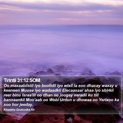 Tirintii 31:12 SOM Bible Verse Image