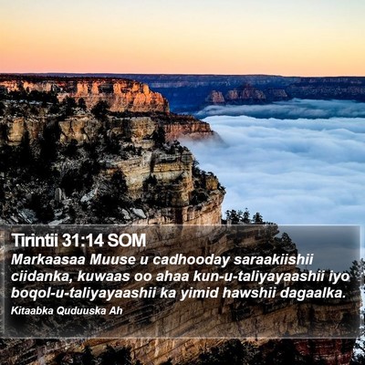 Tirintii 31:14 SOM Bible Verse Image