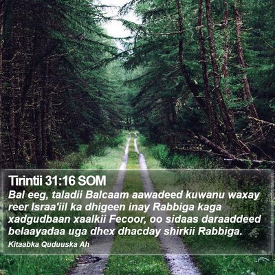 Tirintii 31:16 SOM Bible Verse Image
