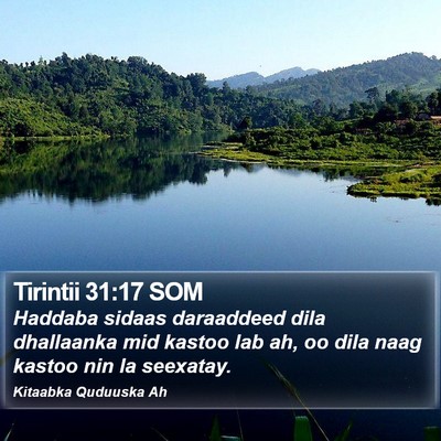 Tirintii 31:17 SOM Bible Verse Image