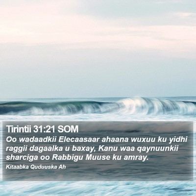 Tirintii 31:21 SOM Bible Verse Image
