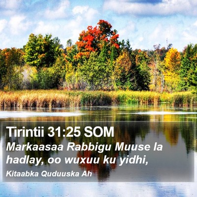 Tirintii 31:25 SOM Bible Verse Image