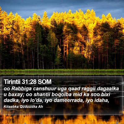 Tirintii 31:28 SOM Bible Verse Image