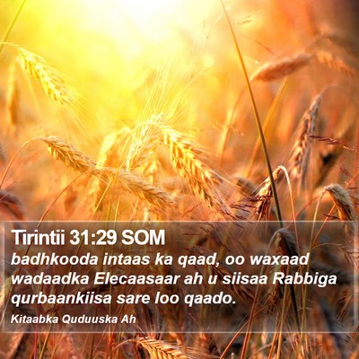 Tirintii 31:29 SOM Bible Verse Image