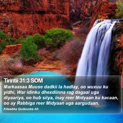 Tirintii 31:3 SOM Bible Verse Image