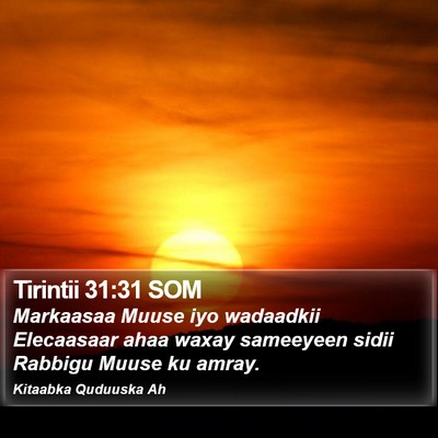 Tirintii 31:31 SOM Bible Verse Image