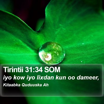 Tirintii 31:34 SOM Bible Verse Image