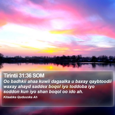 Tirintii 31:36 SOM Bible Verse Image