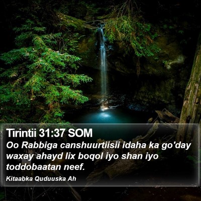 Tirintii 31:37 SOM Bible Verse Image