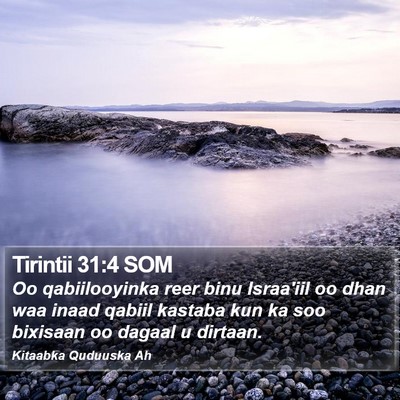 Tirintii 31:4 SOM Bible Verse Image