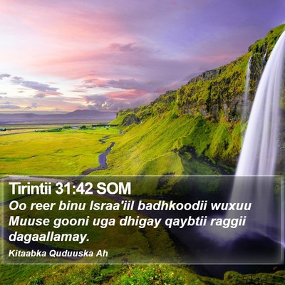 Tirintii 31:42 SOM Bible Verse Image