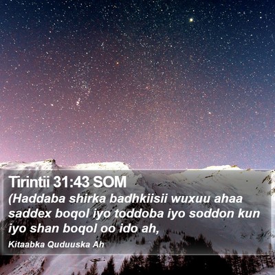 Tirintii 31:43 SOM Bible Verse Image