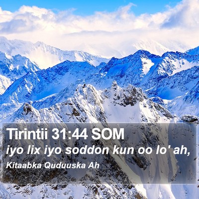 Tirintii 31:44 SOM Bible Verse Image