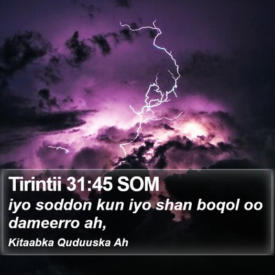 Tirintii 31:45 SOM Bible Verse Image