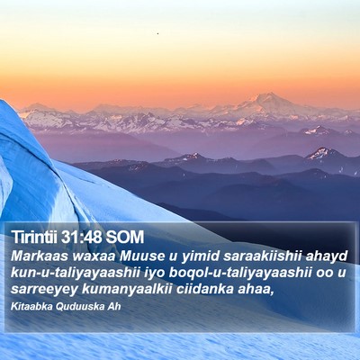 Tirintii 31:48 SOM Bible Verse Image