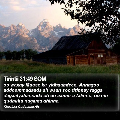 Tirintii 31:49 SOM Bible Verse Image