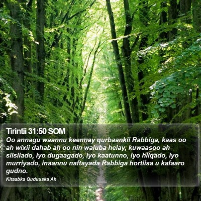 Tirintii 31:50 SOM Bible Verse Image