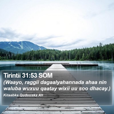 Tirintii 31:53 SOM Bible Verse Image