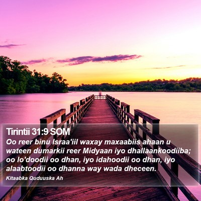 Tirintii 31:9 SOM Bible Verse Image