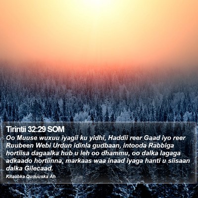 Tirintii 32:29 SOM Bible Verse Image