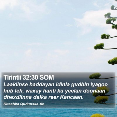 Tirintii 32:30 SOM Bible Verse Image