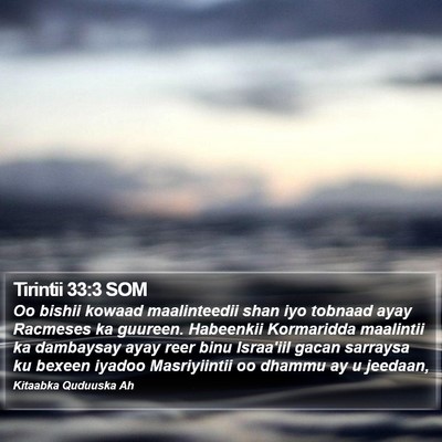 Tirintii 33:3 SOM Bible Verse Image