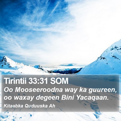 Tirintii 33:31 SOM Bible Verse Image