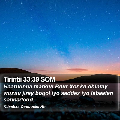 Tirintii 33:39 SOM Bible Verse Image