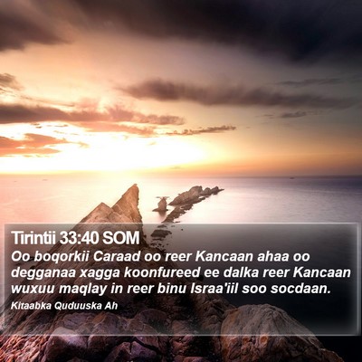 Tirintii 33:40 SOM Bible Verse Image