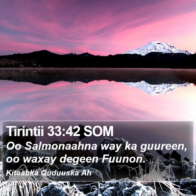 Tirintii 33:42 SOM Bible Verse Image