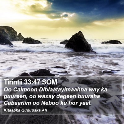 Tirintii 33:47 SOM Bible Verse Image