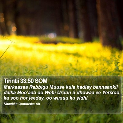 Tirintii 33:50 SOM Bible Verse Image