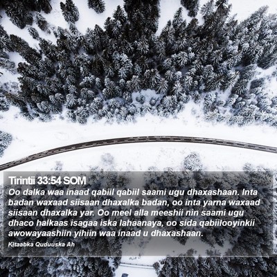 Tirintii 33:54 SOM Bible Verse Image
